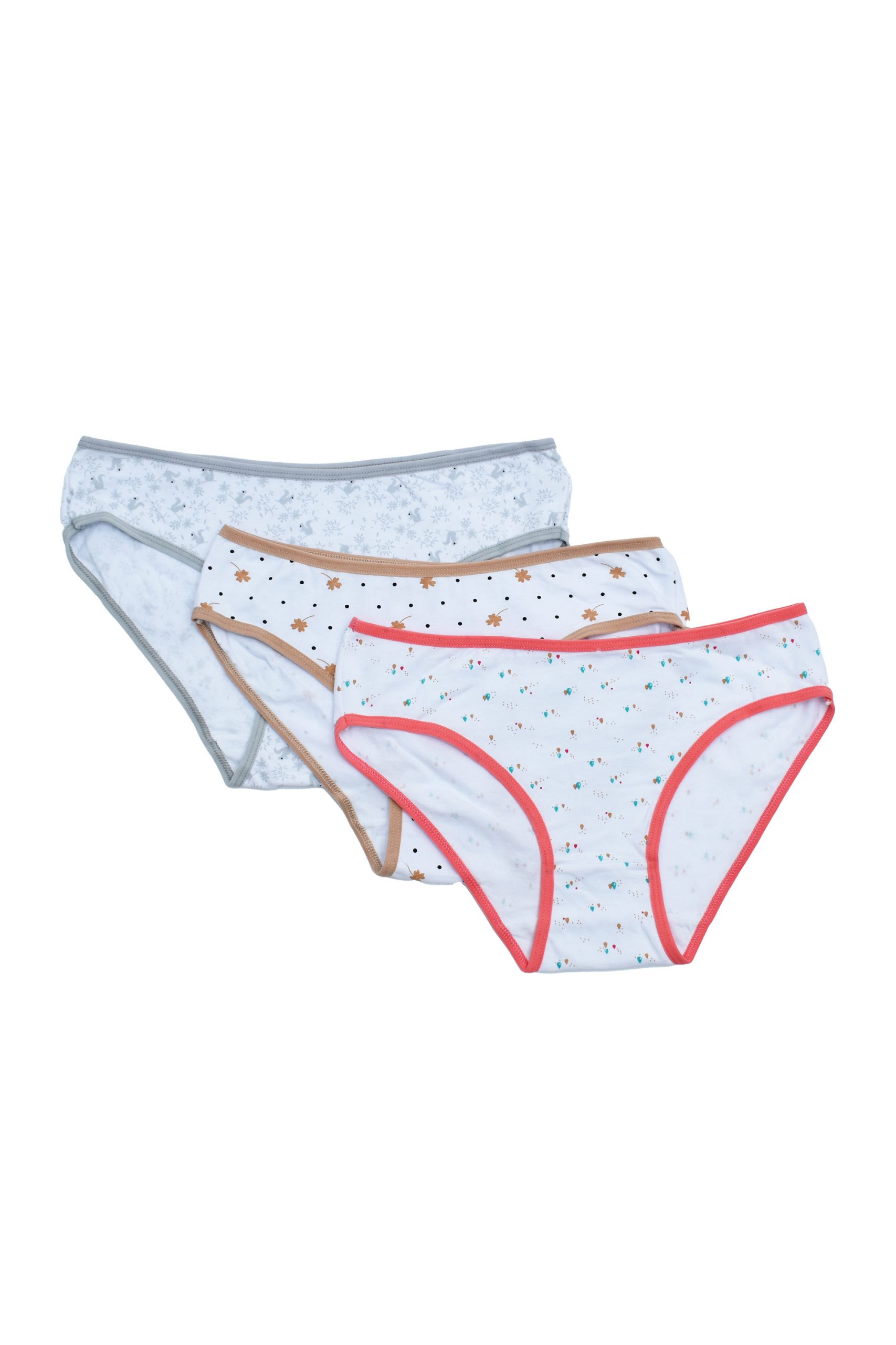 B&C Midi / Bikini Printed Cotton Panty 3 pack - Size S-L (A195) - B & C ...